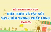 Điều kiện vật nổi, vật chìm, vật lơ lửng trong chất lỏng?